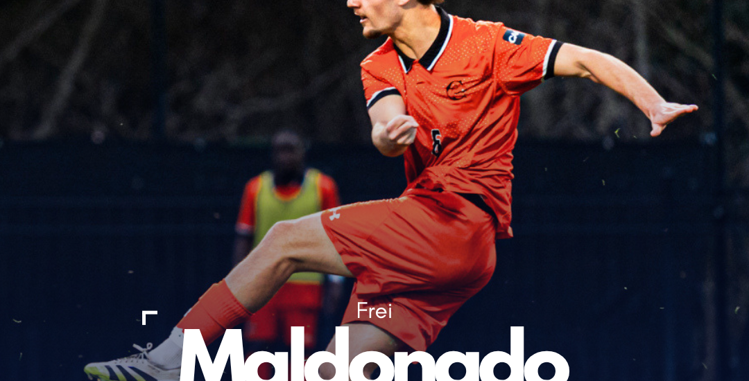 Frei Maldonado